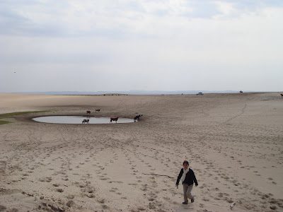 我的旅行