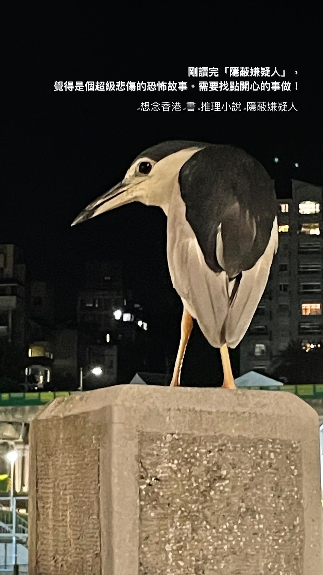 2024.03.03 的影像