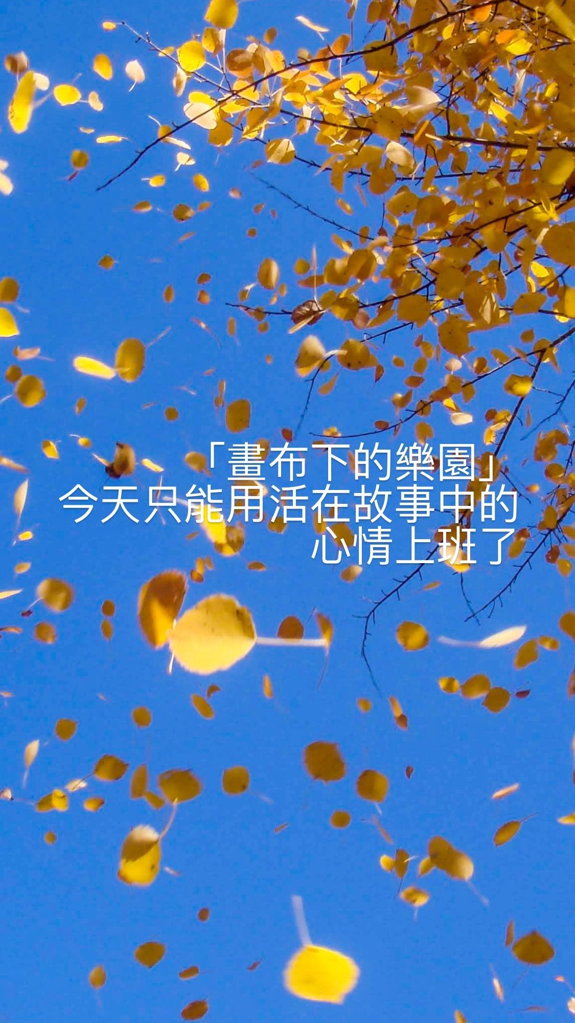 2024.03.04 的影像