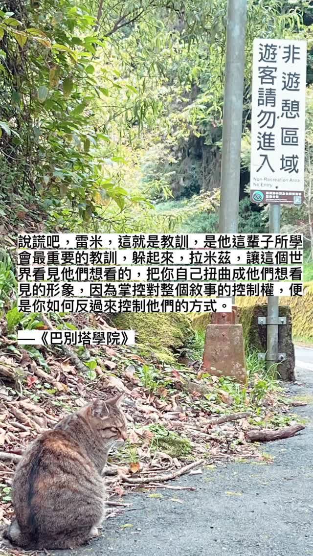 2024.04.05 的影片封面