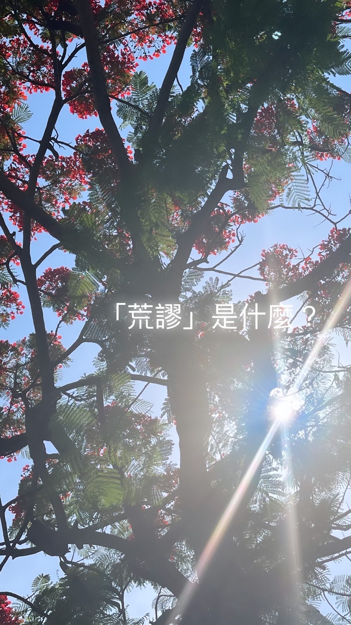 2024.05.18 的影像