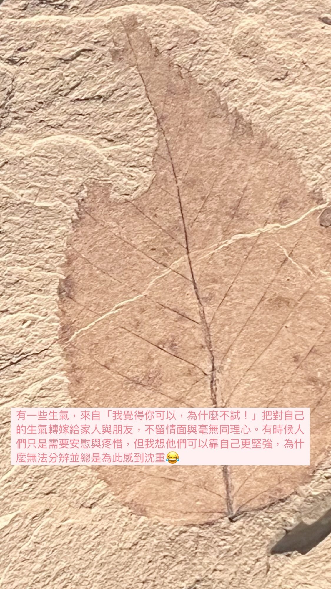 2024.12.08 的影像