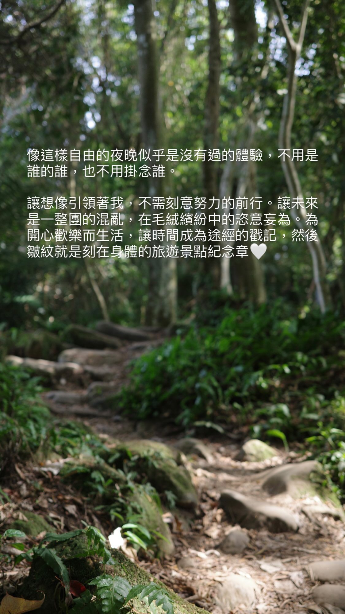 2025.10.17 的影片封面