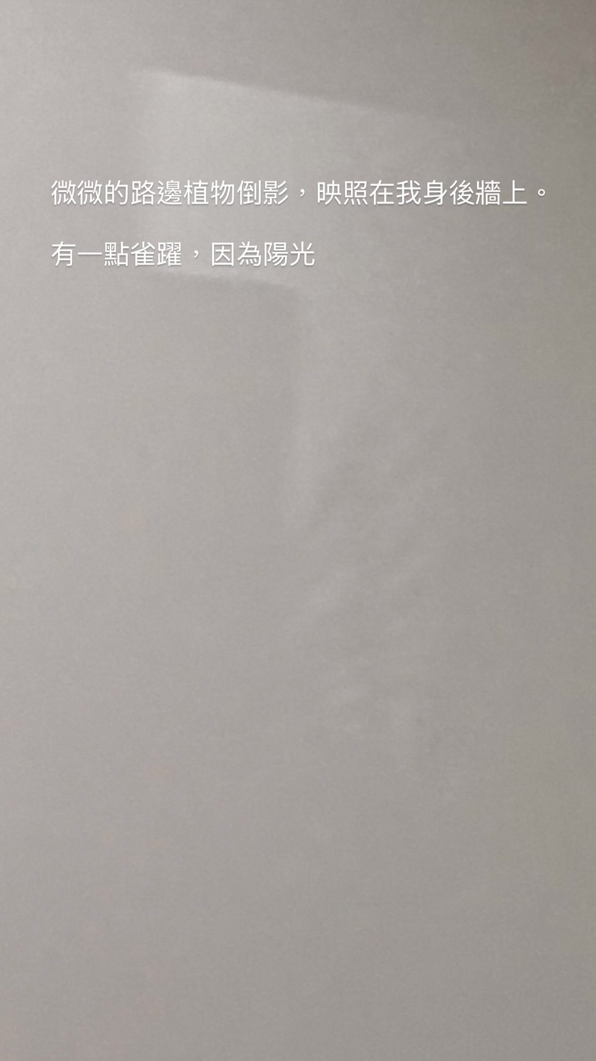 2026.08.17 的影像